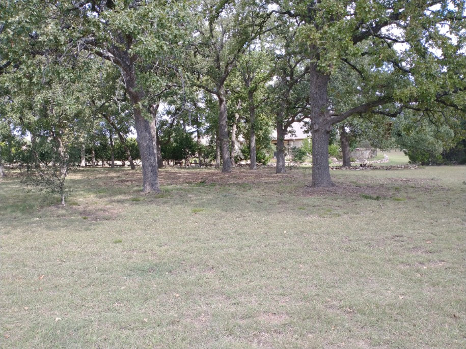 tree trimming in Bertram, TX